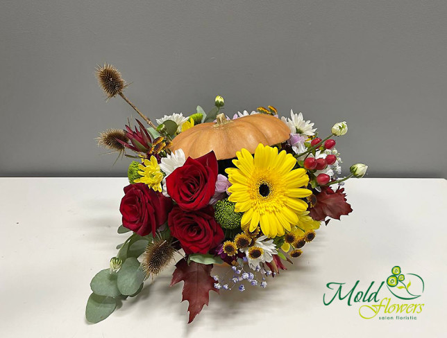 Arrangement with Red Roses, Gerbera in a Pumpkin photo